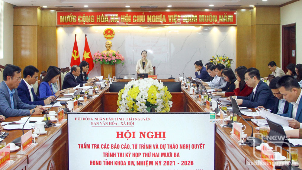 Thẩm tra các báo cáo, tờ trình, dự thảo nghị quyết trình tại kỳ họp HĐND tỉnh