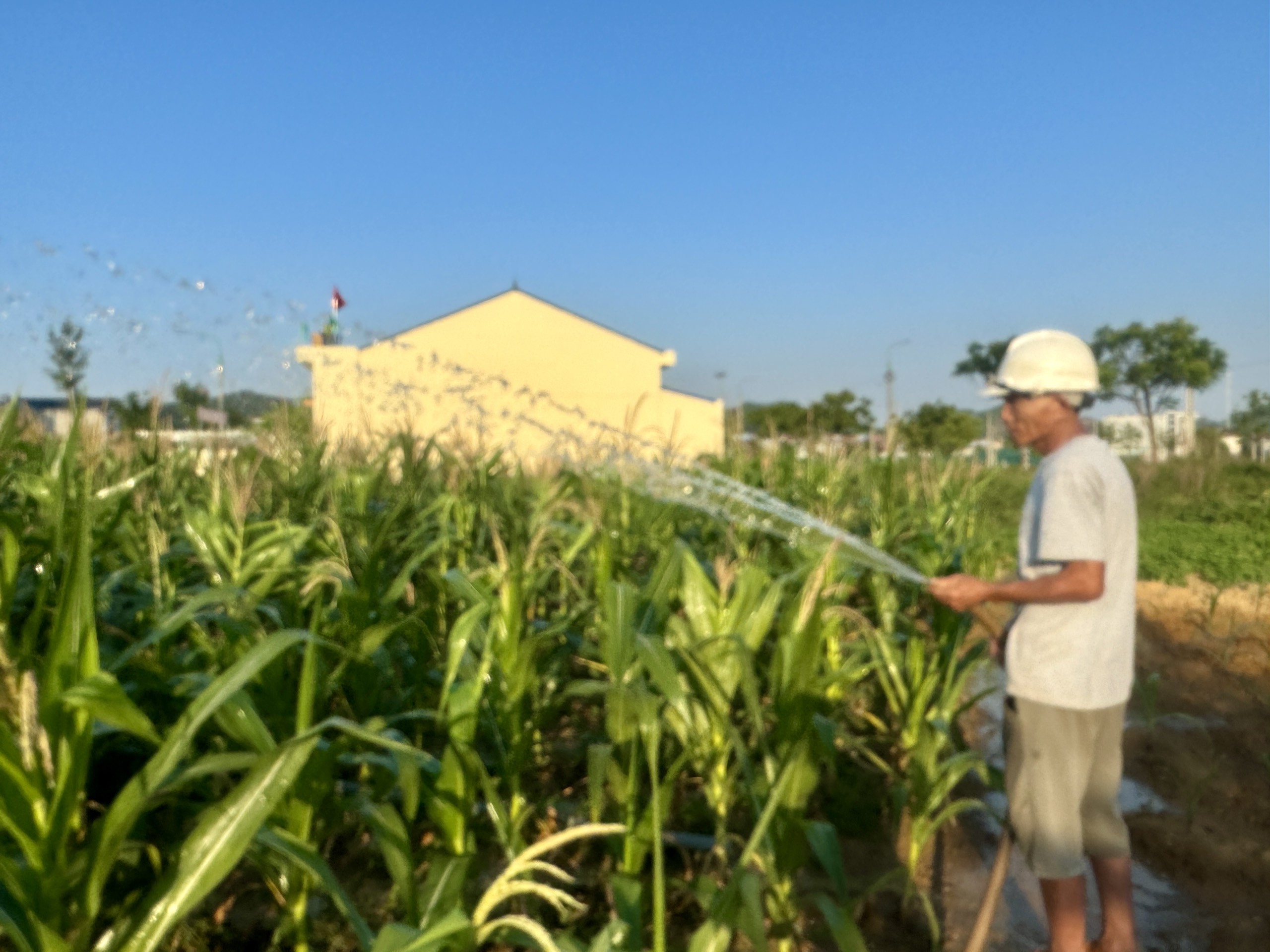 Đại Từ: Giá trị sản xuất nông, lâm nghiệp, thủy sản tăng 4,17%