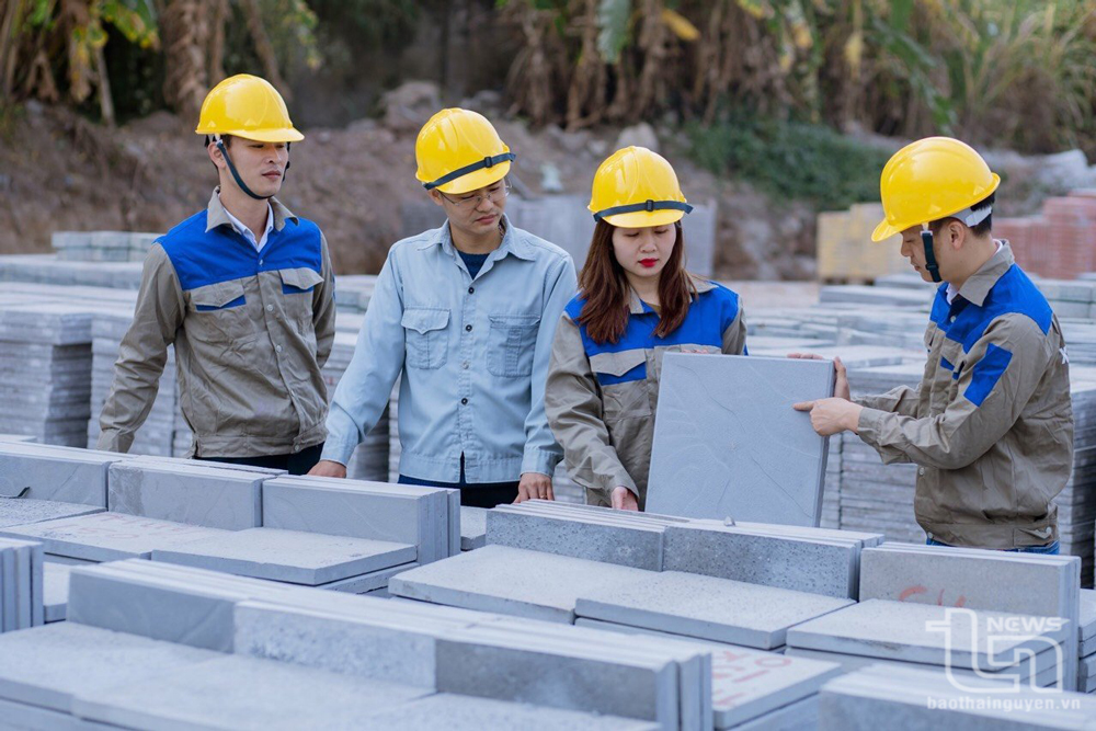 CNT GROUP tiên phong sáng tạo, nghiên cứu phát triển sản phẩm mới