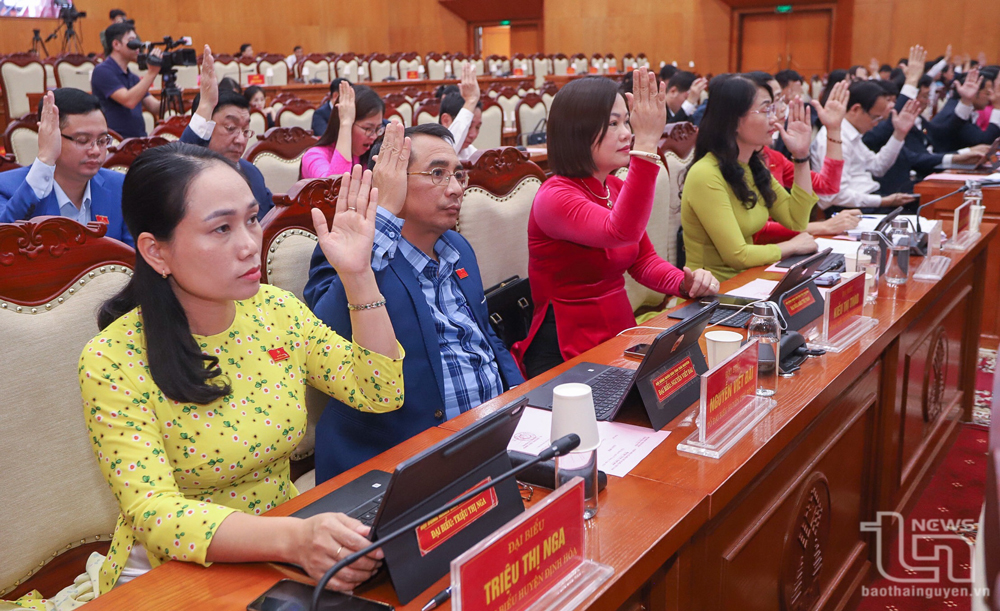 Các đại biểu biểu quyết tại Kỳ họp.