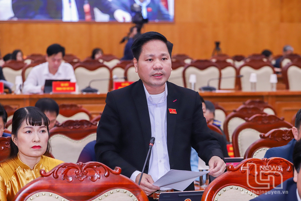 Đại biểu nêu câu hỏi chất vấn.