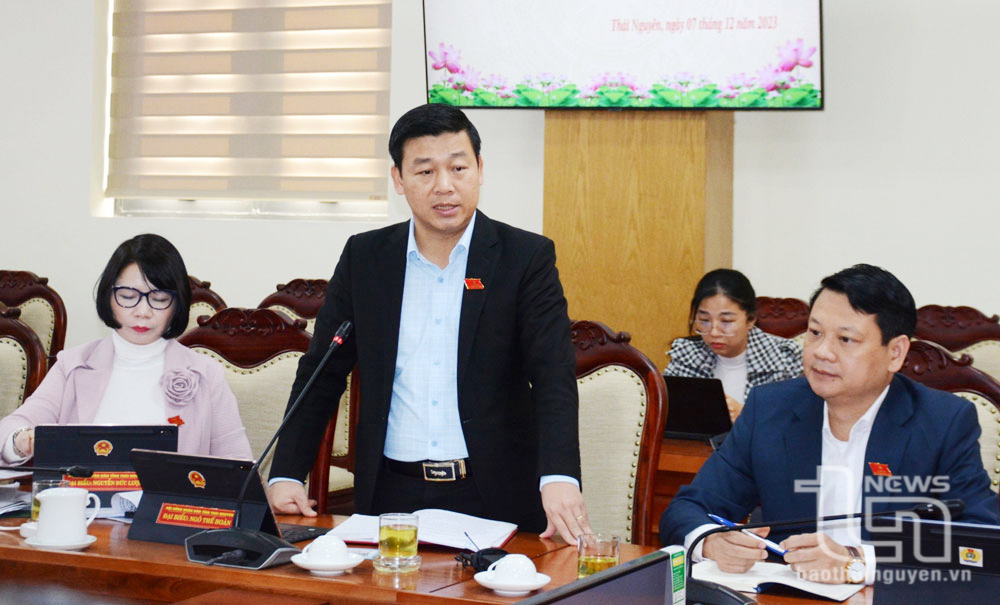 Đại biểu phát biểu thảo luận tại Tổ 1.