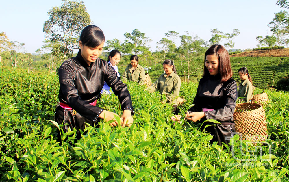Giảm nghèo cần bền vững