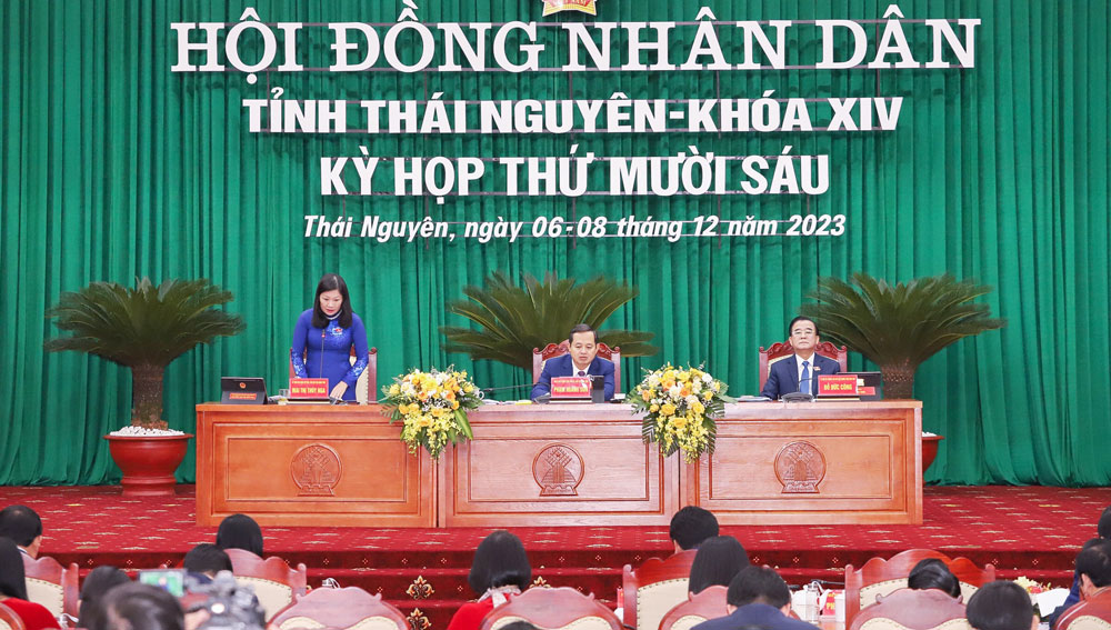 Ý kiến đại biểu bên lề Kỳ họp thứ 16, HĐND tỉnh khóa XIV