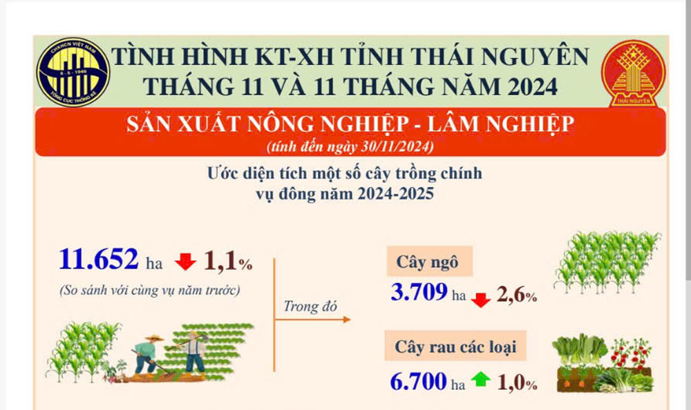 Tình hình kinh tế - xã hội tỉnh Thái Nguyên tháng 11 và 11 tháng năm 2024