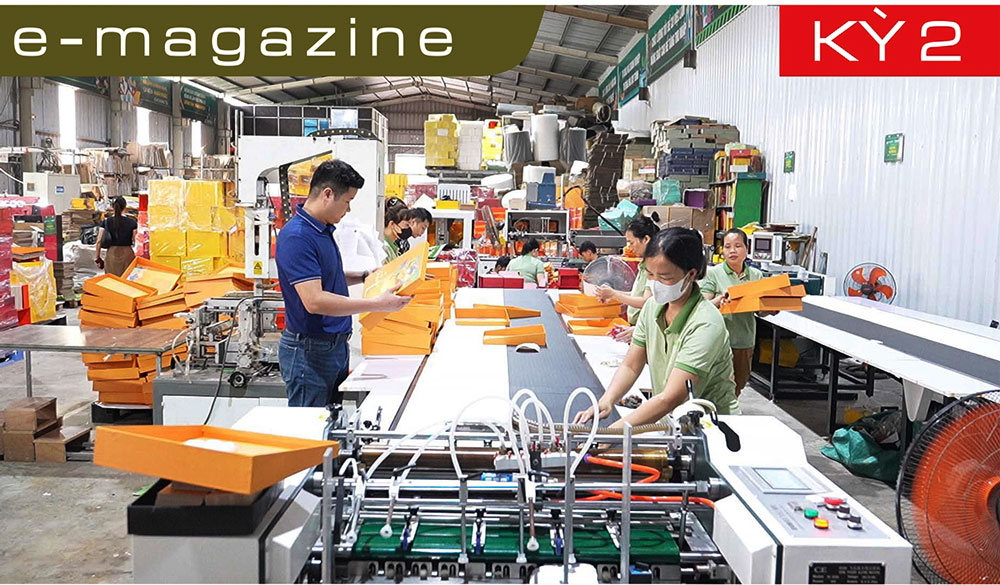 Thương mại điện tử: Cuộc đua vào hệ sinh thái mới - (kỳ 2) Nền công nghiệp phụ trợ