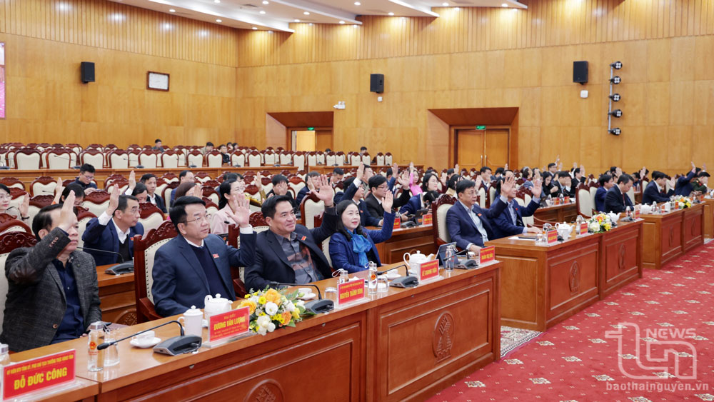 Các đại biểu biểu quyết thông qua Nghị quyết.