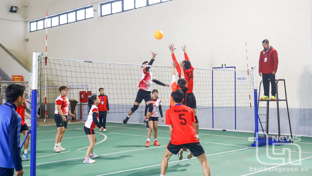 100 sinh viên tham dự giải bóng chuyền hơi