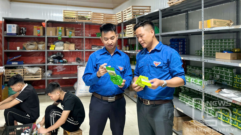 Lập nghiệp tại quê hương