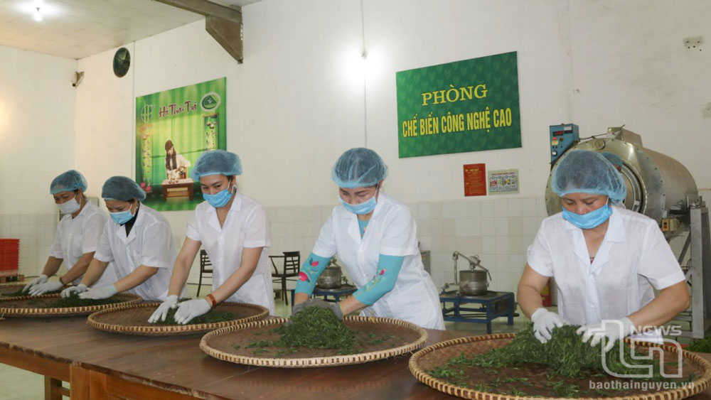 Khó thu hút doanh nghiệp đầu tư vào nông nghiệp