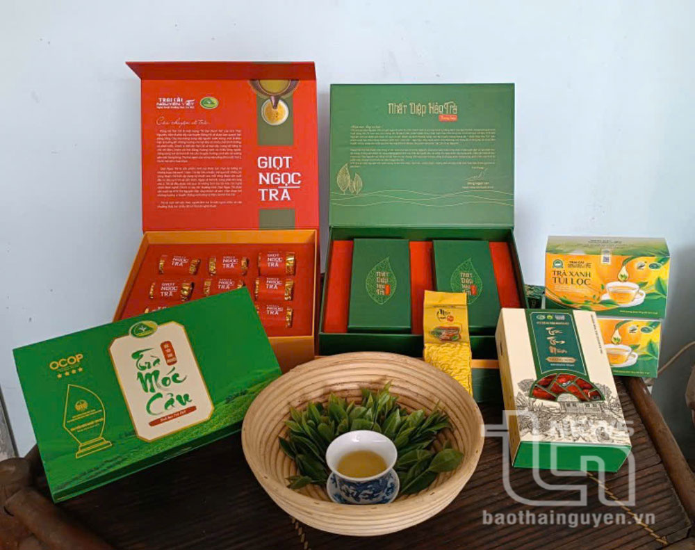 Các sản phẩm chè đạt tiêu chuẩn OCOP của Hợp tác xã chè an toàn Nguyên Việt, xóm Cà Phê, được thiết kế sang trọng, đẹp mắt.
