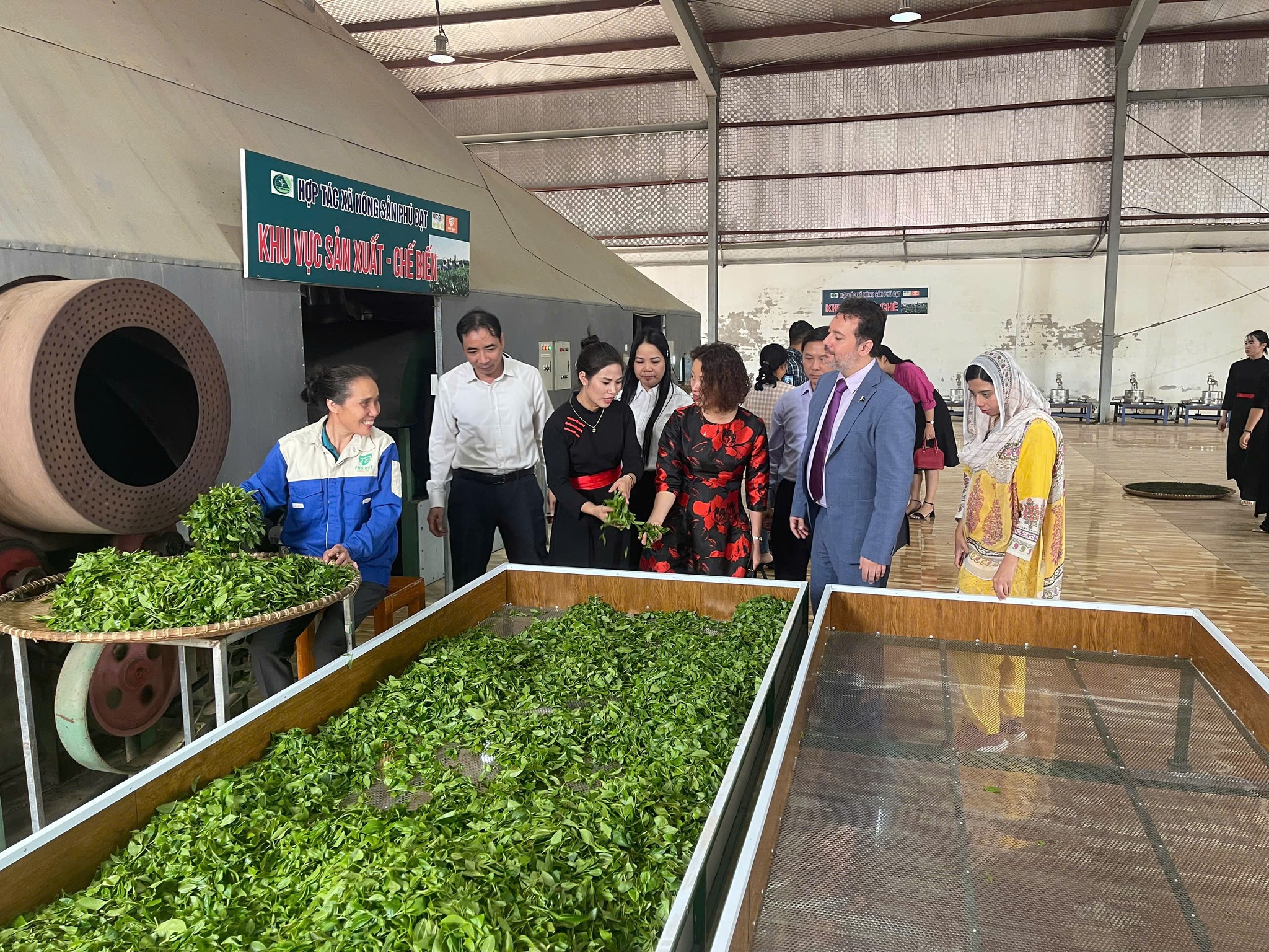 Thái Nguyên: Diện tích đất sản xuất nhỏ, giá trị thu được lớn