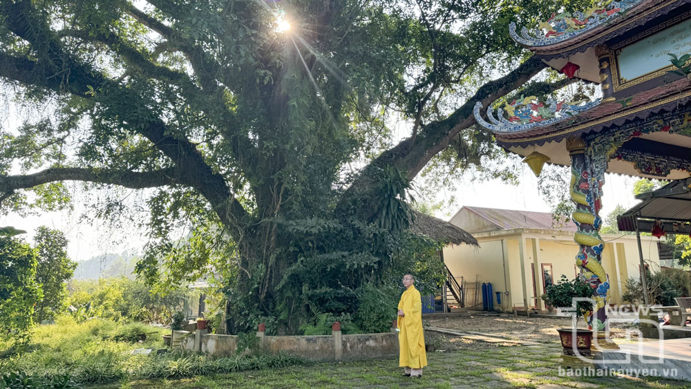 Đến Thiên La Quang, nhận “hạt giống” thiện lành