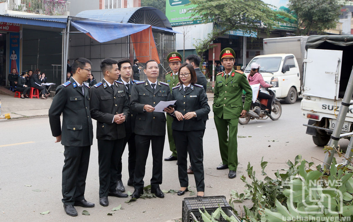 Tổ chức cưỡng chế giao đất cho người được thi hành án
