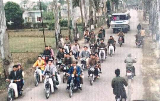 Dãy bạch đàn trắng trên đường Bắc Nam xưa