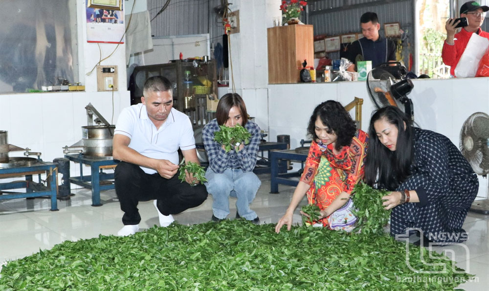 Chương trình Famtrip giới thiệu “Tứ đại danh trà Thái Nguyên”