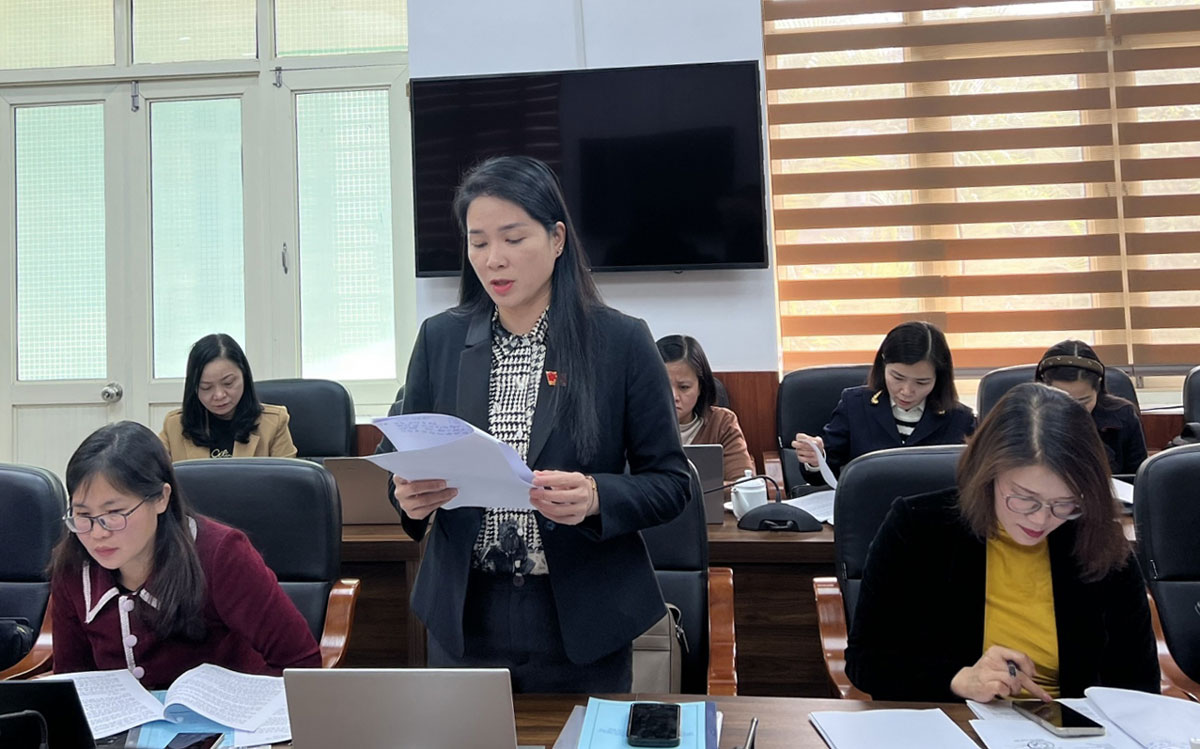Thành viên Đoàn giám sát phát biểu.