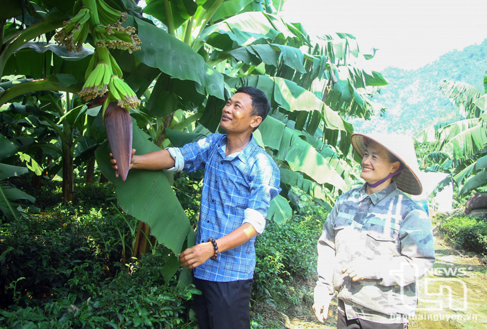 “Luồng gió mới” cho kinh tế tập thể - bài 3: Thay đổi để thích ứng
