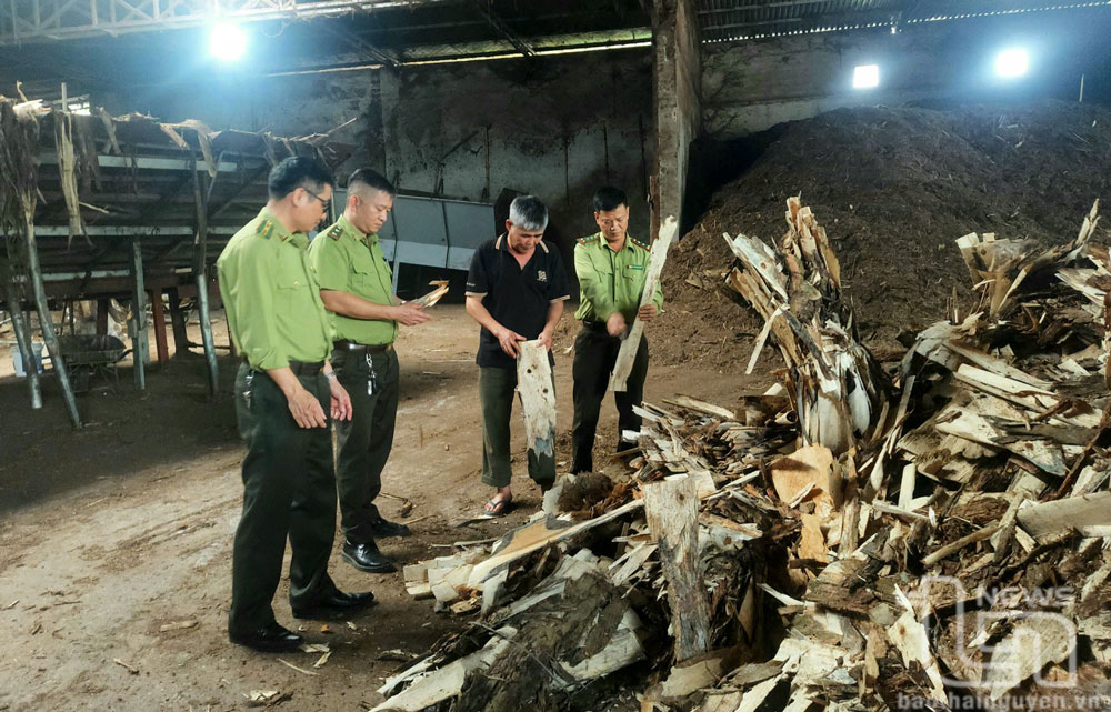 Đưa lâm sản Phú Lương vươn xa