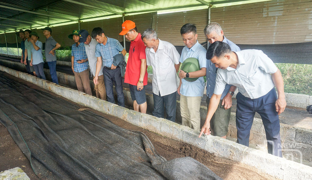 Chất thải trong chăn nuôi bò, lợn được Hợp tác xã chăn nuôi bò và dịch vụ sản xuất nông nghiệp Nga My (Phú Bình) dùng để nuôi trùn quế làm thức ăn cho gà, vừa mang lại hiệu quả kinh tế, vừa bảo vệ môi trường.