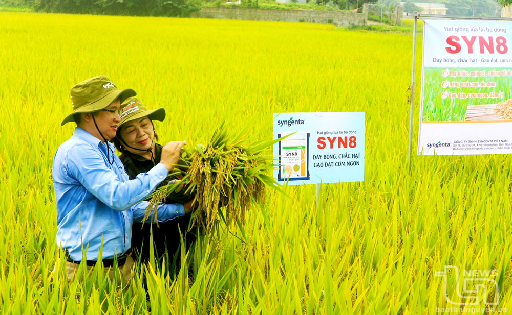 Đưa khoa học công nghệ vào sản xuất nông nghiệp