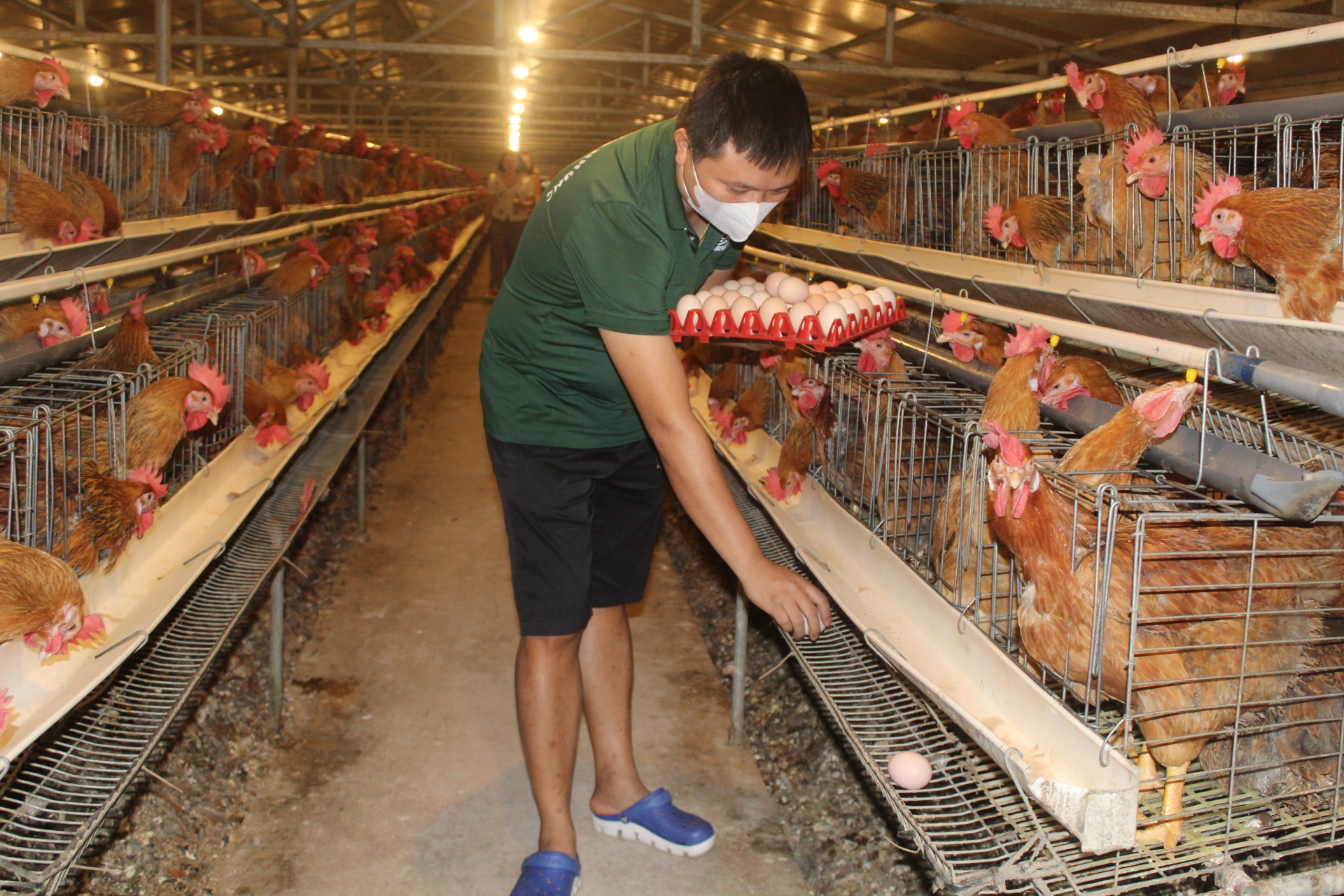 Vươn lên nhờ vốn tín dụng chính sách