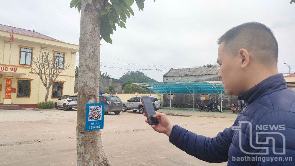 Phú Lương: Cập nhật trên 703.700 cây xanh lên phần mềm ThaiNguyen SmartTrees