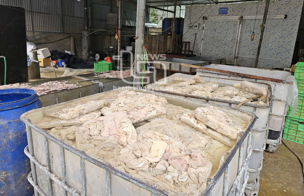 Số lòng lợn bị phát hiện có dấu hiệu bốc mùi hôi thối.