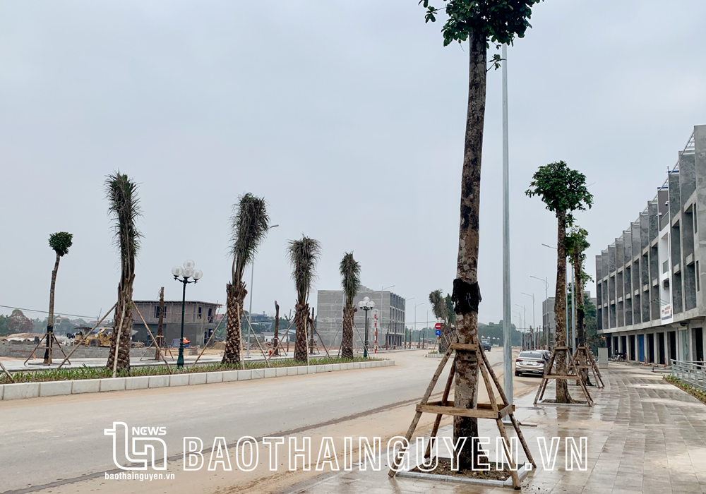 PCI và DDCI: Cần quan tâm cải thiện thứ hạng, vì sao? (kỳ 1)