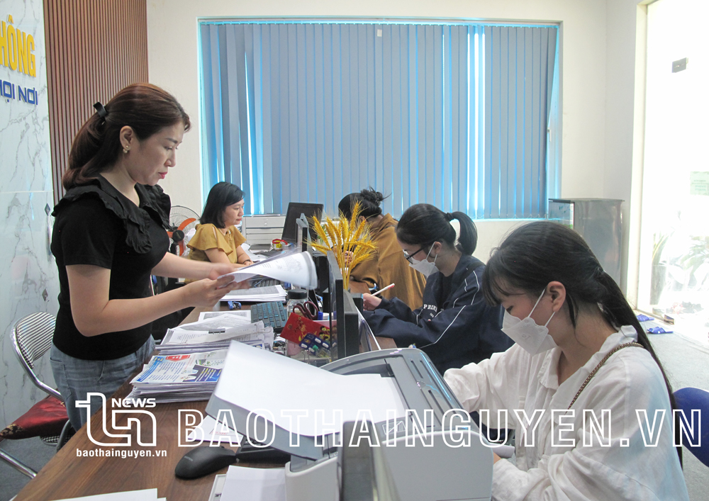 Năm 2023, Bộ Giáo dục và Đào tạo khuyến cáo không tổ chức xét tuyển sớm