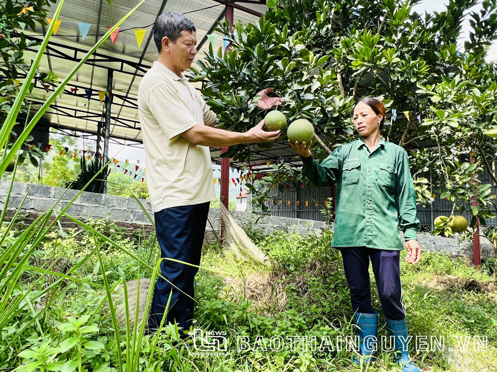 “Thủ lĩnh” Giáo họ Coong Lẹng