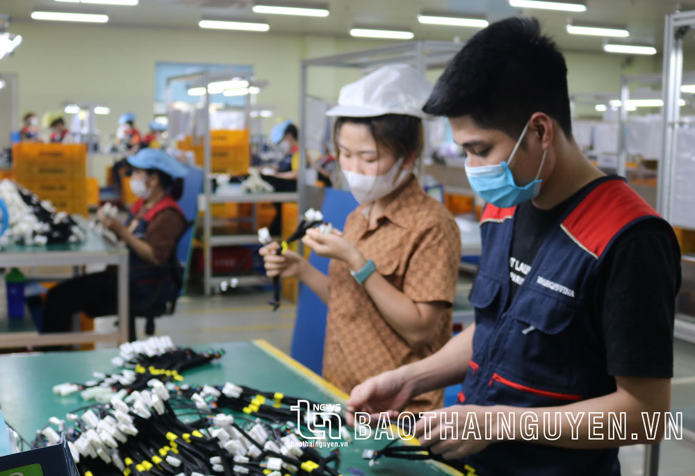 Coi trọng huấn luyện an toàn vệ sinh lao động