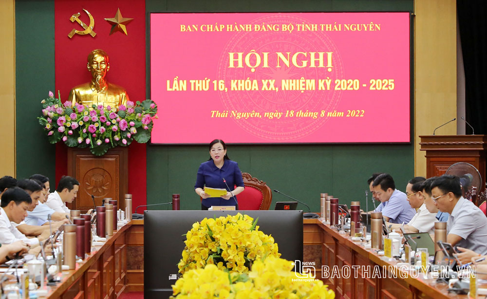 Hội nghị Ban Chấp hành Đảng bộ tỉnh: Thống nhất các ý kiến để triển khai có hiệu quả
