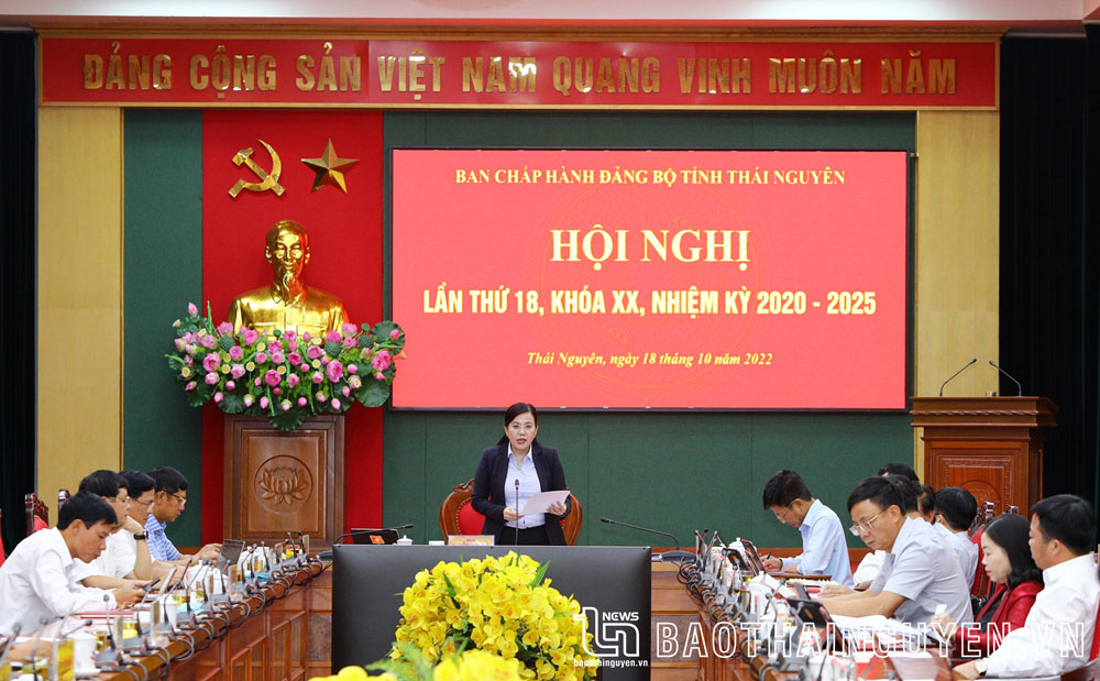 Ban Chấp hành Đảng bộ tỉnh: Thảo luận, cho ý kiến vào 3 nội dung quan trọng