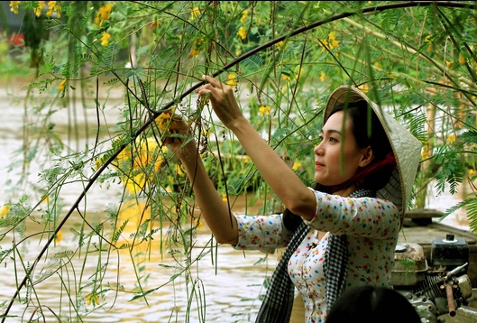 Bông điên điển món ngon vùng sông nước Hậu Giang