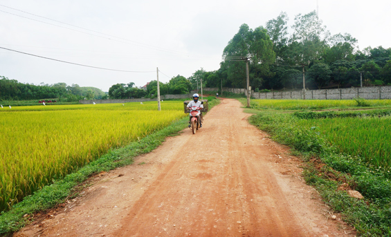 Khó đạt tiêu chí giao thông do thiếu xi măng