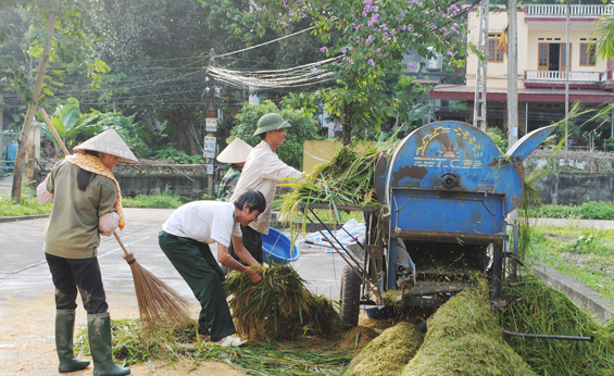 Rộn ràng mùa gặt