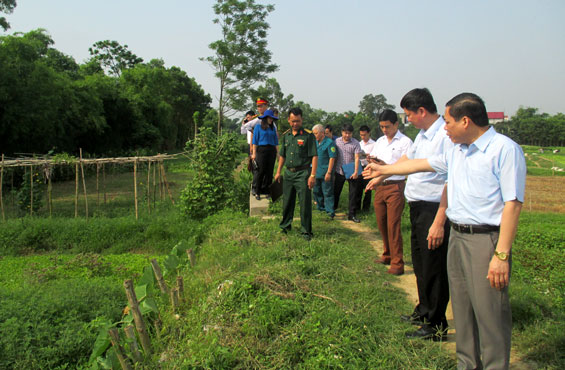 Chủ động triển khai các phương án phòng, chống thiên tai