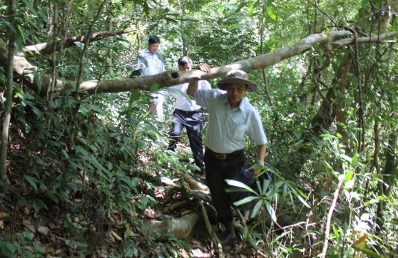 Hoang sơ suối Chí