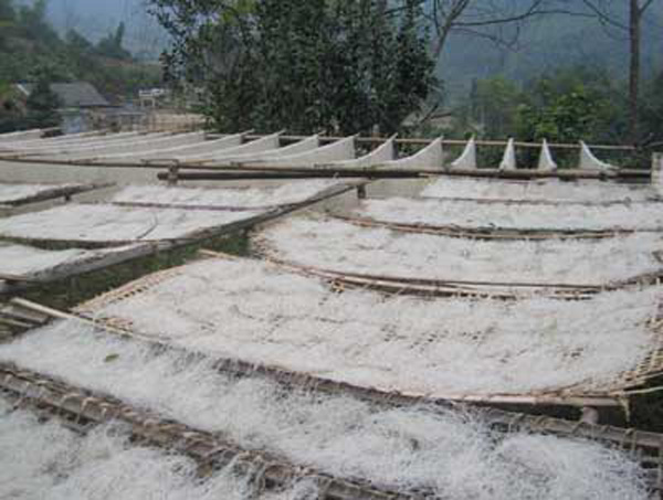 Làng nghề Miến dong Côn Minh - Hương rừng Bắc Kạn