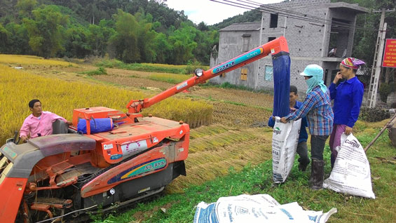 Sức bật nông thôn mới