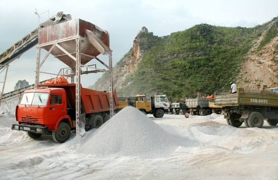 Vẫn tăng dù một số sản phẩm giảm sâu