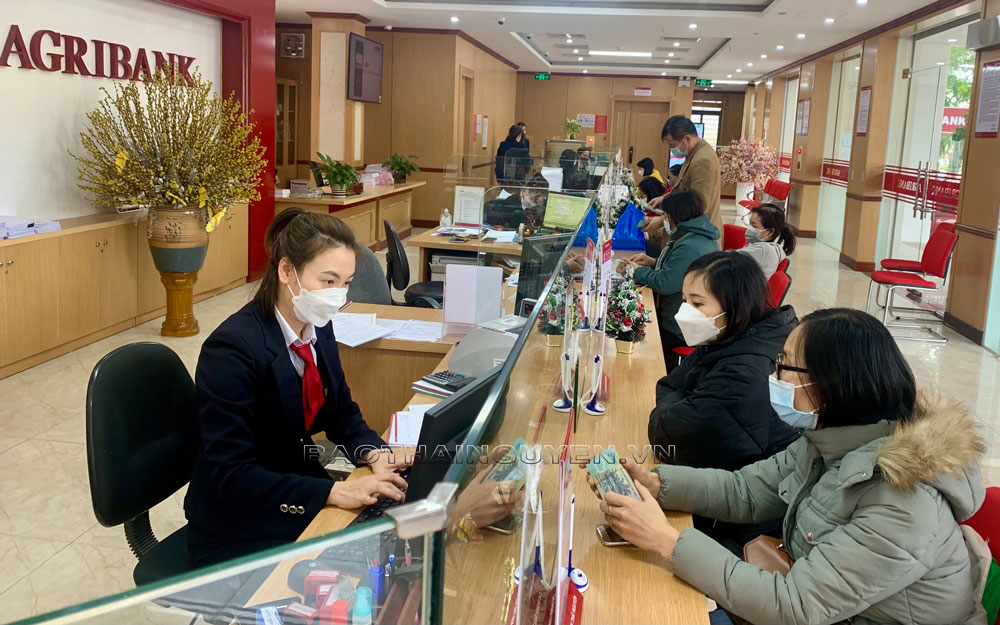 Nhiều giải pháp để tăng trưởng bền vững