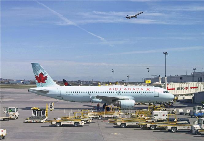 Trên 800 nhân viên Air Canada bị tạm nghỉ việc vì chưa tiêm chủng đầy đủ