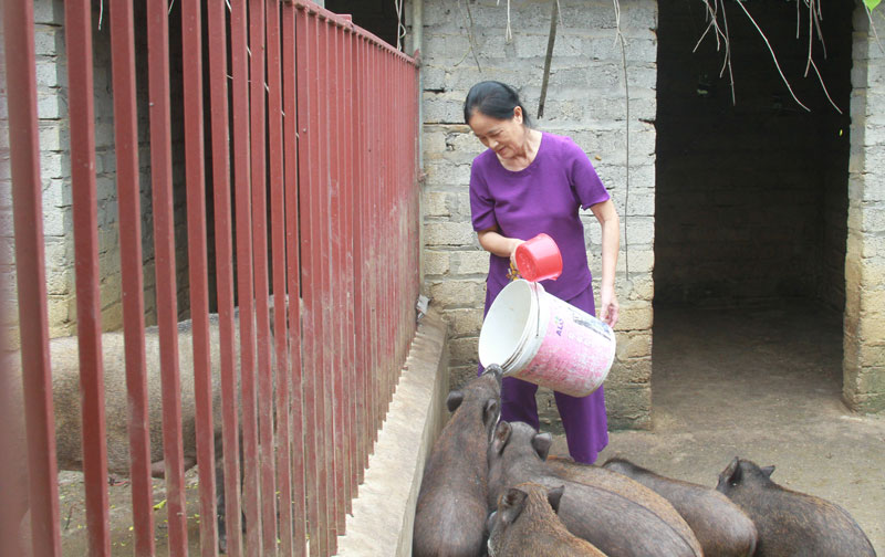 Xây dựng hội bằng những việc làm thiết thực