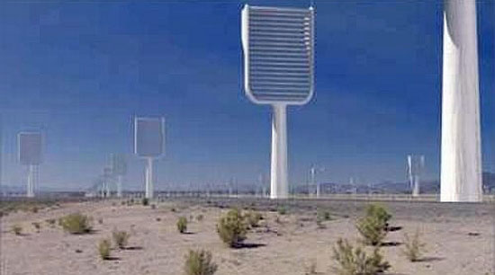 Cây tổng hợp - "máy" hút khí độc CO2