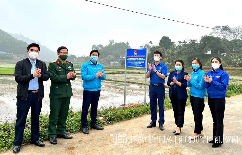 Dấu ấn từ những công trình thanh niên