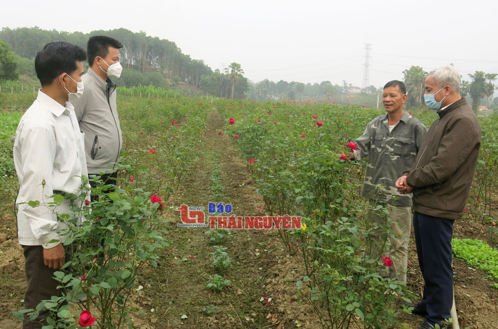 Khơi sức dân nhờ dân vận khéo