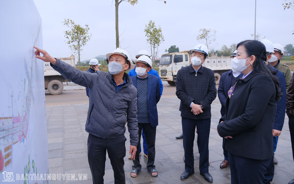 Bí thư Tỉnh uỷ kiểm tra một số dự án trọng điểm, tham gia Tết trồng cây tại T.P Thái Nguyên
