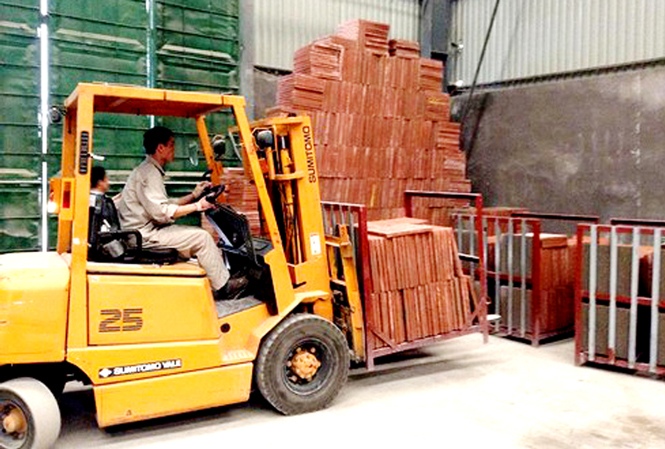 Doanh thu tăng 15% so với cùng kỳ